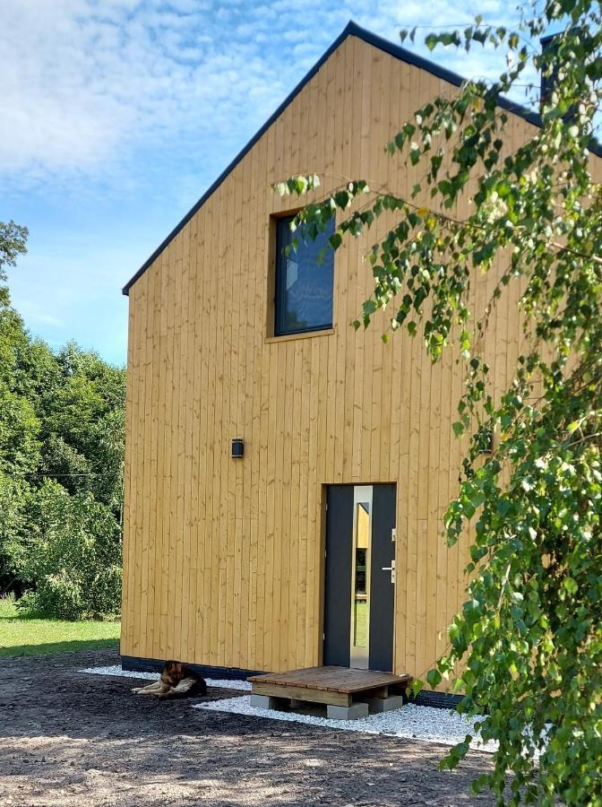 Dom Przy Lesie Vila Wielgie Exterior foto